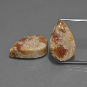 Pedras preciosas de coral fóssil multicolorido natural de  ct, formato de pêra, opaco