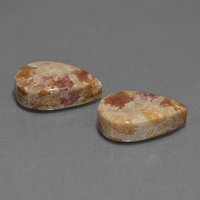 Pedras preciosas de coral fóssil multicolorido natural de  ct, formato de pêra, opaco