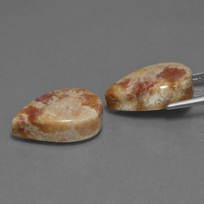 Pedras preciosas de coral fóssil multicolorido natural de  ct, formato de pêra, opaco