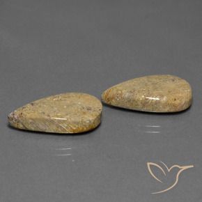 Pedras preciosas de Coral fóssil Multicolorido natural de 17.13 ct, Formato de pêra, Opaco
