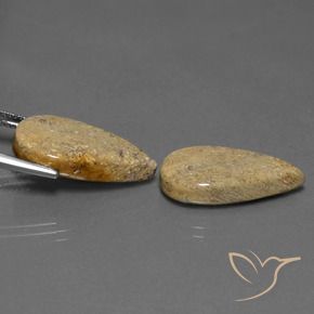 Pedras preciosas de Coral fóssil Multicolorido natural de 17.13 ct, Formato de pêra, Opaco