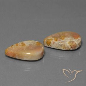 Pedras preciosas de Coral fóssil Multicolorido natural de 27.92 ct, Formato de pêra, Opaco