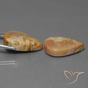 Pedras preciosas de Coral fóssil Multicolorido natural de 27.92 ct, Formato de pêra, Opaco