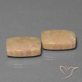 Pedras preciosas de Coral fóssil Multicolorido natural de 24.97 ct, Almofada, Opaco