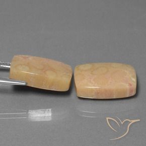 Pedras preciosas de Coral fóssil Multicolorido natural de 24.97 ct, Almofada, Opaco