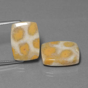 Pedras preciosas de Coral fóssil Multicolorido natural de  ct, Almofada cortada, Opaco