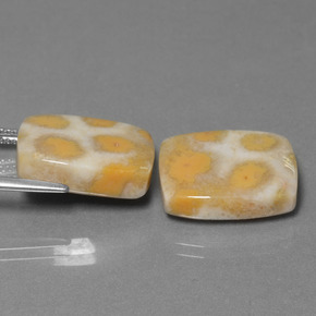 Pedras preciosas de Coral fóssil Multicolorido natural de  ct, Almofada cortada, Opaco