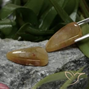 Pedras preciosas de Coral fóssil Multicolorido natural de 22.09 ct, Chique, Opaco