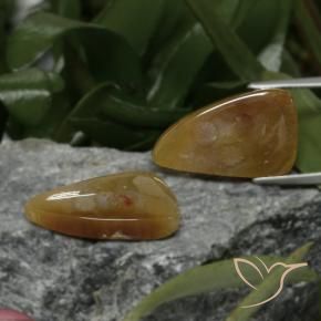 Pedras preciosas de Coral fóssil Multicolorido natural de 22.09 ct, Chique, Opaco