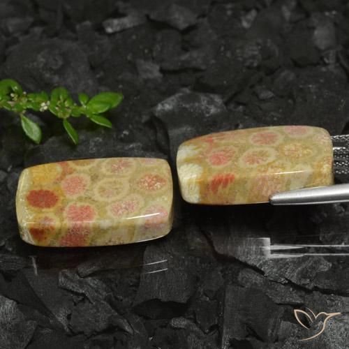 Pedras preciosas de Coral fóssil Multicolorido natural de 35.26 ct, Almofada, Opaco