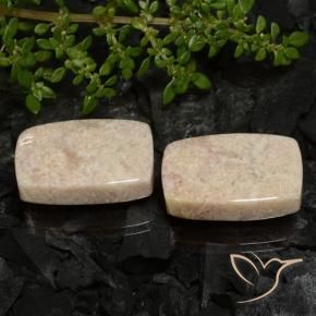 Pedras preciosas de Coral fóssil Multicolorido natural de 33.38 ct, Almofada, Opaco