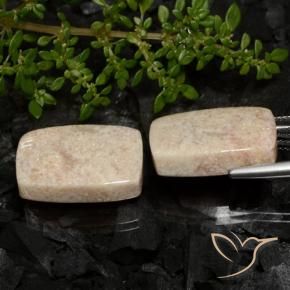 Pedras preciosas de Coral fóssil Multicolorido natural de 33.38 ct, Almofada, Opaco