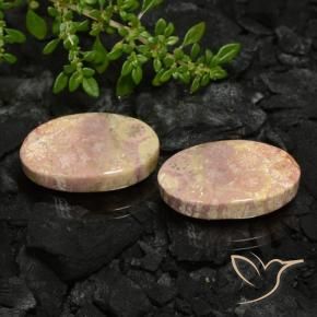 Pedras preciosas de Coral fóssil Multicolorido natural de 22.59 ct, oval, Opaco