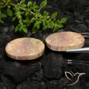 Pedras preciosas de Coral fóssil Multicolorido natural de 22.59 ct, oval, Opaco