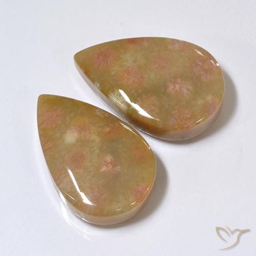 Pedras preciosas de Coral fóssil Multicolorido natural de 26.41 ct, Formato de pêra, Opaco