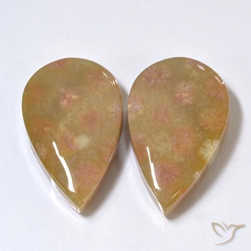 Pedras preciosas de Coral fóssil Multicolorido natural de 26.41 ct, Formato de pêra, Opaco