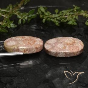 Pedras preciosas de Coral fóssil Multicolorido natural de 19.81 ct, oval, Opaco