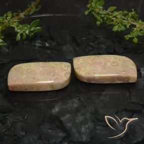 Pedras preciosas de Coral fóssil Multicolorido natural de 27.40 ct, Chique, Opaco