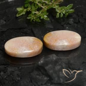 Pedras preciosas de Coral fóssil Multicolorido natural de 22.59 ct, oval, Opaco