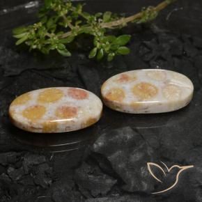 Pedras preciosas de Coral fóssil Multicolorido natural de 22.45 ct, oval, Opaco