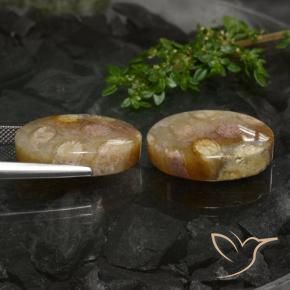 Pedras preciosas de Coral fóssil Multicolorido natural de 33.89 ct, oval, Opaco