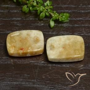 Pedras preciosas de Coral fóssil Multicolorido natural de 21.65 ct, Almofada, Opaco