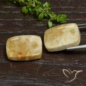 Pedras preciosas de Coral fóssil Multicolorido natural de 21.65 ct, Almofada, Opaco