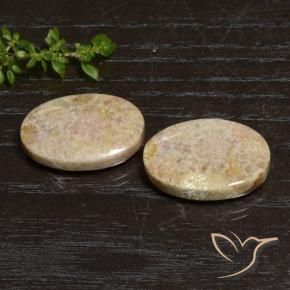 Pedras preciosas de Coral fóssil Multicolorido natural de 29.83 ct, oval, Opaco