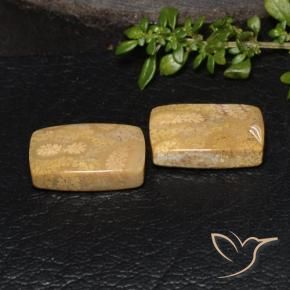 Pedras preciosas de Coral fóssil Multicolorido natural de 18.85 ct, Almofada, Opaco