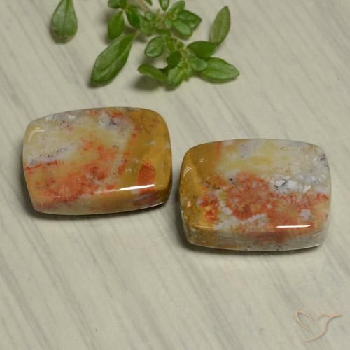 Pedras preciosas de Coral fóssil Multicolorido natural de 22.48 ct, Almofada, Opaco
