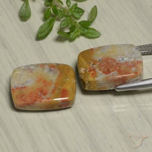 Pedras preciosas de Coral fóssil Multicolorido natural de 22.48 ct, Almofada, Opaco
