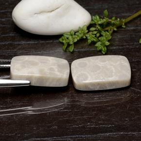 Pedras preciosas de Coral fóssil Multicolorido natural de 25.59 ct, Almofada cortada, Opaco