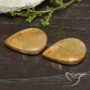 Pedras preciosas de Coral fóssil Multicolorido natural de 23.49 ct, Formato de pêra, Opaco