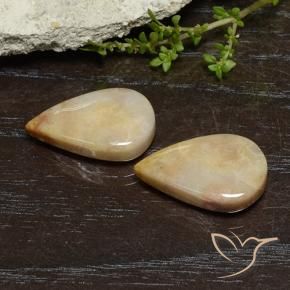 Pedras preciosas de Coral fóssil Multicolorido natural de 16.56 ct, Formato de pêra, Opaco