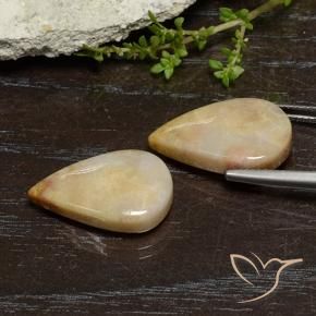 Pedras preciosas de Coral fóssil Multicolorido natural de 16.56 ct, Formato de pêra, Opaco