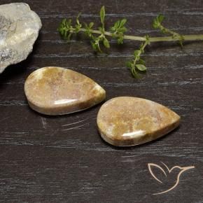 Pedras preciosas de Coral fóssil Multicolorido natural de 25.11 ct, Formato de pêra, Opaco