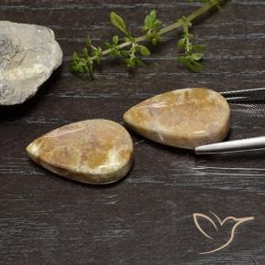 Pedras preciosas de Coral fóssil Multicolorido natural de 25.11 ct, Formato de pêra, Opaco