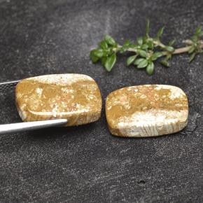 Pedras preciosas de Coral fóssil Multicolorido natural de 16.41 ct, Almofada cortada, Opaco