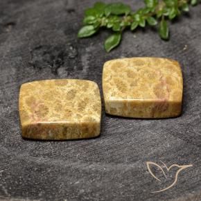 Pedras preciosas de Coral fóssil Multicolorido natural de 29.63 ct, Almofada, Opaco