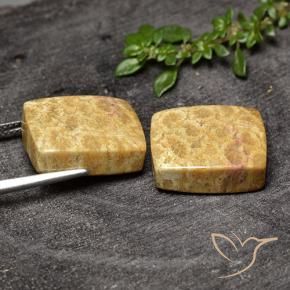 Pedras preciosas de Coral fóssil Multicolorido natural de 29.63 ct, Almofada, Opaco