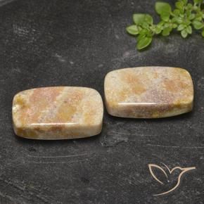Pedras preciosas de Coral fóssil Multicolorido natural de 29.36 ct, Almofada, Opaco