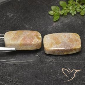 Pedras preciosas de Coral fóssil Multicolorido natural de 29.36 ct, Almofada, Opaco