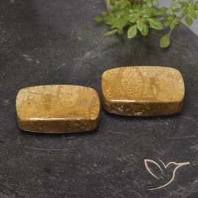 Pedras preciosas de Coral fóssil Multicolorido natural de 32.26 ct, Almofada, Opaco