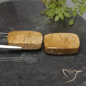 Pedras preciosas de Coral fóssil Multicolorido natural de 32.26 ct, Almofada, Opaco