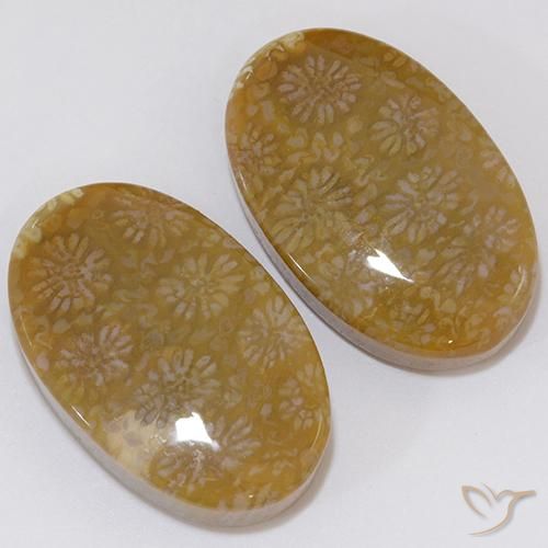Pedras preciosas de Coral fóssil Multicolorido natural de 28.62 ct, oval, Opaco