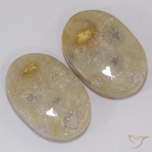 Pedras preciosas de Coral fóssil Multicolorido natural de 21.60 ct, oval, Opaco