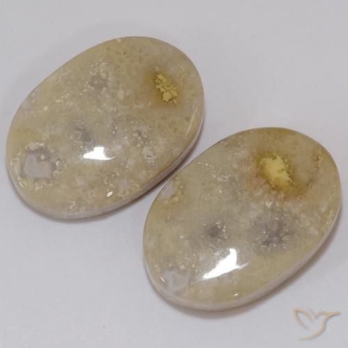 Pedras preciosas de Coral fóssil Multicolorido natural de 21.60 ct, oval, Opaco
