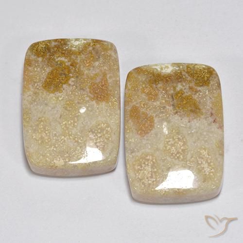 31.35ctw Natural Multicolorido Coral fóssil, Almofada, Opaco