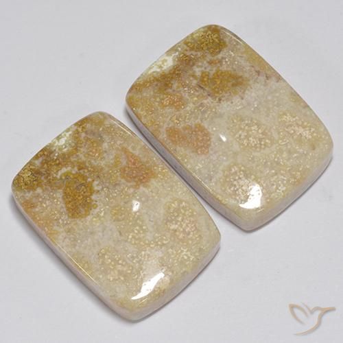 Pedras preciosas de Coral fóssil Multicolorido natural de 31.35 ct, Almofada, Opaco