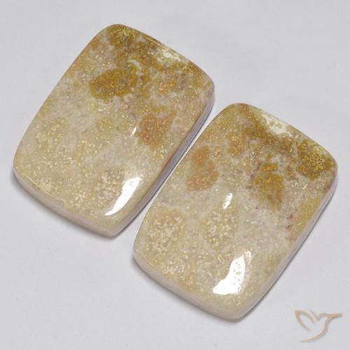 Pedras preciosas de Coral fóssil Multicolorido natural de 31.35 ct, Almofada, Opaco